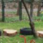 Kindercentrum Madelief, Gennep