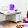 Moll Chapion bureau