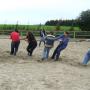 Chevaux Les