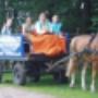 Chevaux Les