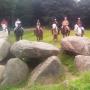 Chevaux Les