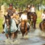 Manege Gasselte