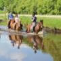 Manege Gasselte