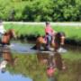 Manege Gasselte