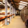 Manege Gasselte
