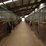 Jonker Manege