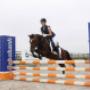 Springen