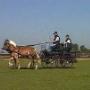 Manege Oostmoer
