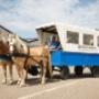 Manege Oostmoer