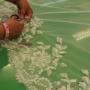 Handwerk