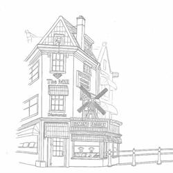 The Mill Diamonds C.v.