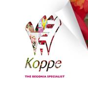 M. Koppe
