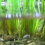 Helder water garantie