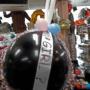 gender ballon