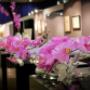 PINKS