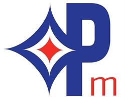 Posthumus Machines en Revisie
