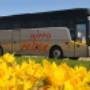 van Hool T9