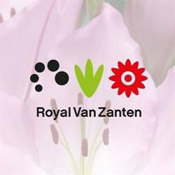 Royal Van Zanten