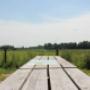 Landschap & Recreatie