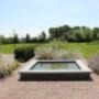 Tuinontwerp particuliere tuin