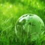Bio/eco verpakkingen