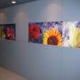 Screendruk Art BV Zeefdruk-XL Printing-Belettering