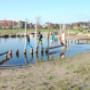 Natuurlijk spelen over water Park Uden Zuid