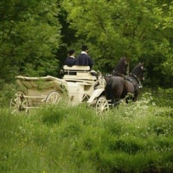 Stalhouderij de westfries