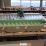 Steenhuis Beton BV