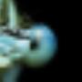 Stemar Engineering BV