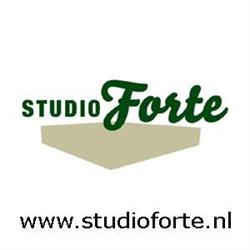 Studio Forte