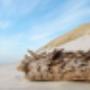 Gemeente Terschelling