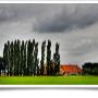 Van den Bosch makelaars