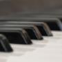 Ginkel Muziek Tom van
