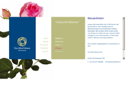 Van Kleef Roses B.v.