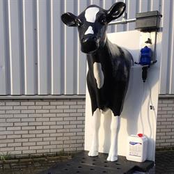 Vink Elst