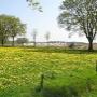 Vossenveld Camping 't