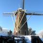 De Aalster Molen