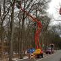 Snoeiwerk met hoogwerker