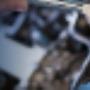 Wensink