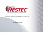 Silicon Materials Service