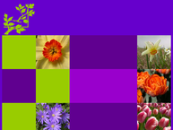 Kees Bevaart Bloemenmarkt