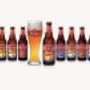 Packaging design (Texels bier)