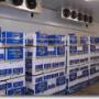 Alcion Holland BV