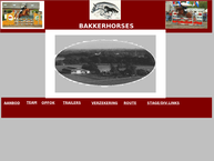 M. Bakker