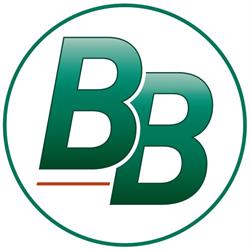 Bb Assuradeuren B.v.