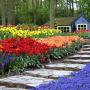 Birwa Tours