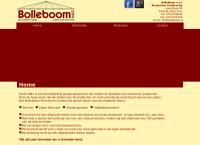 J.C.I. Bolleboom