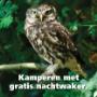 veel vogels
