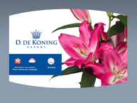 D. de Koning Flowerexport B.v.